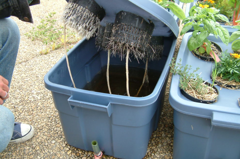 DIY hydroponics