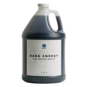 Dark Energy