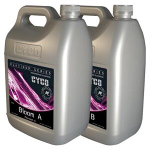 CYCO Bloom A 3 - 0 - 3 & B 1 - 5 - 6