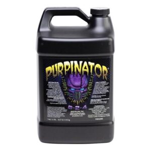Purpinator 0-2-4 from Rhizoflora