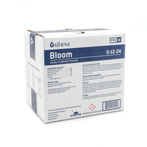 Athena Bloom 10LB