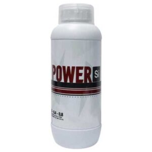 Power Si (1 Liter)