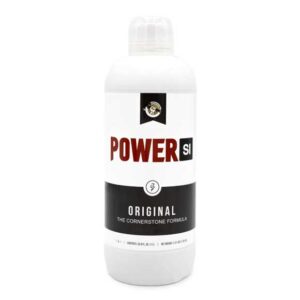 PowerSi